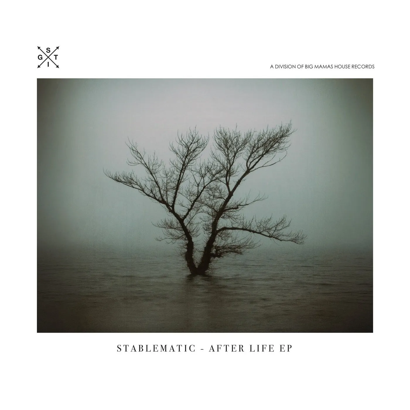 Stablematic – After Life EP