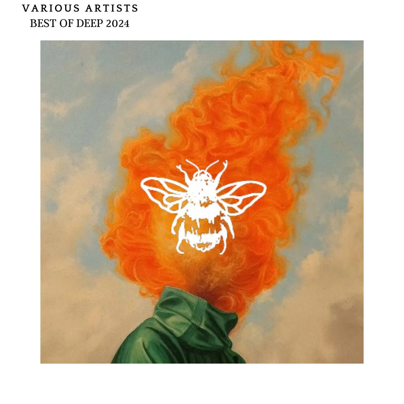 VA - BEST OF DEEP 2024 [Not So Serious Deep]