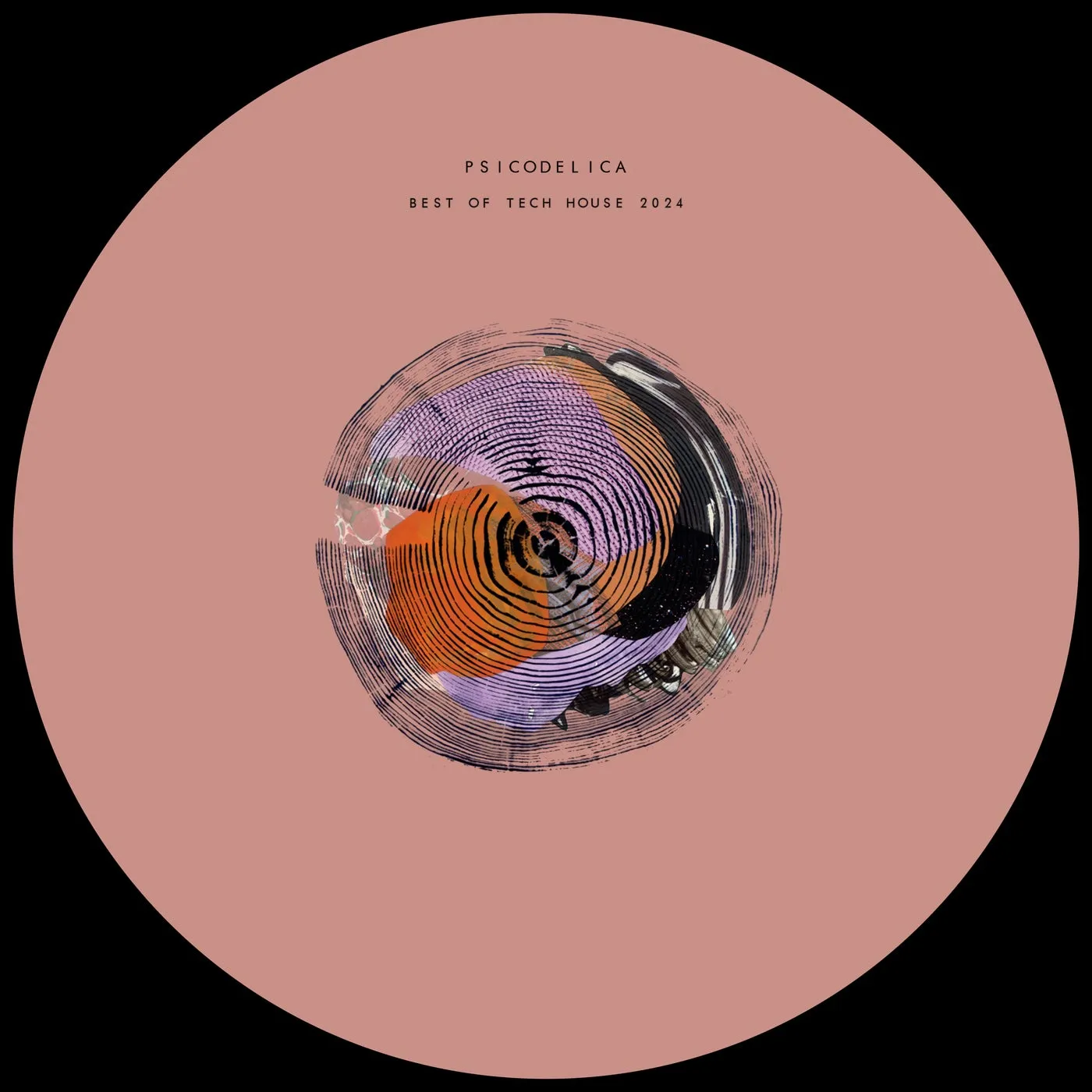 VA - BEST OF TECH HOUSE 2024 [Psicodelica]