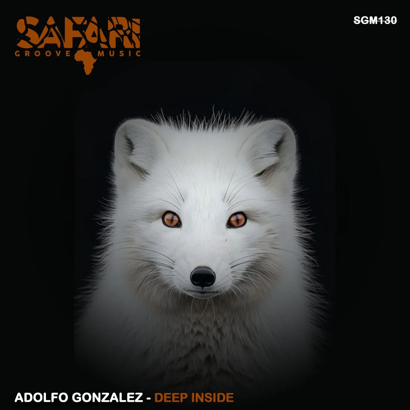 Adolfo Gonzalez - Deep Inside [Safari Groove Music]