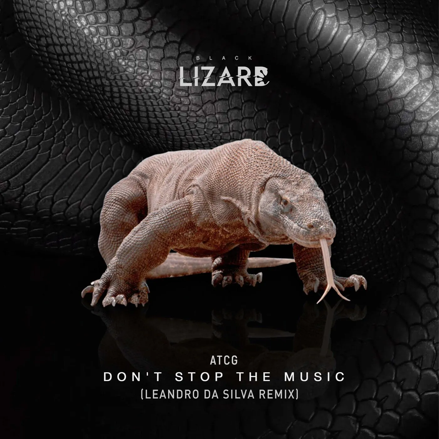 AtcG, Leandro Da Silva - Don't Stop The Music - Leandro Da Silva Remix [Black Lizard Records]