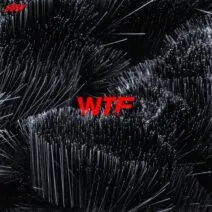 Julian Wassermann, Jamal Dilmen, Philipp Johann Thimm – WTF