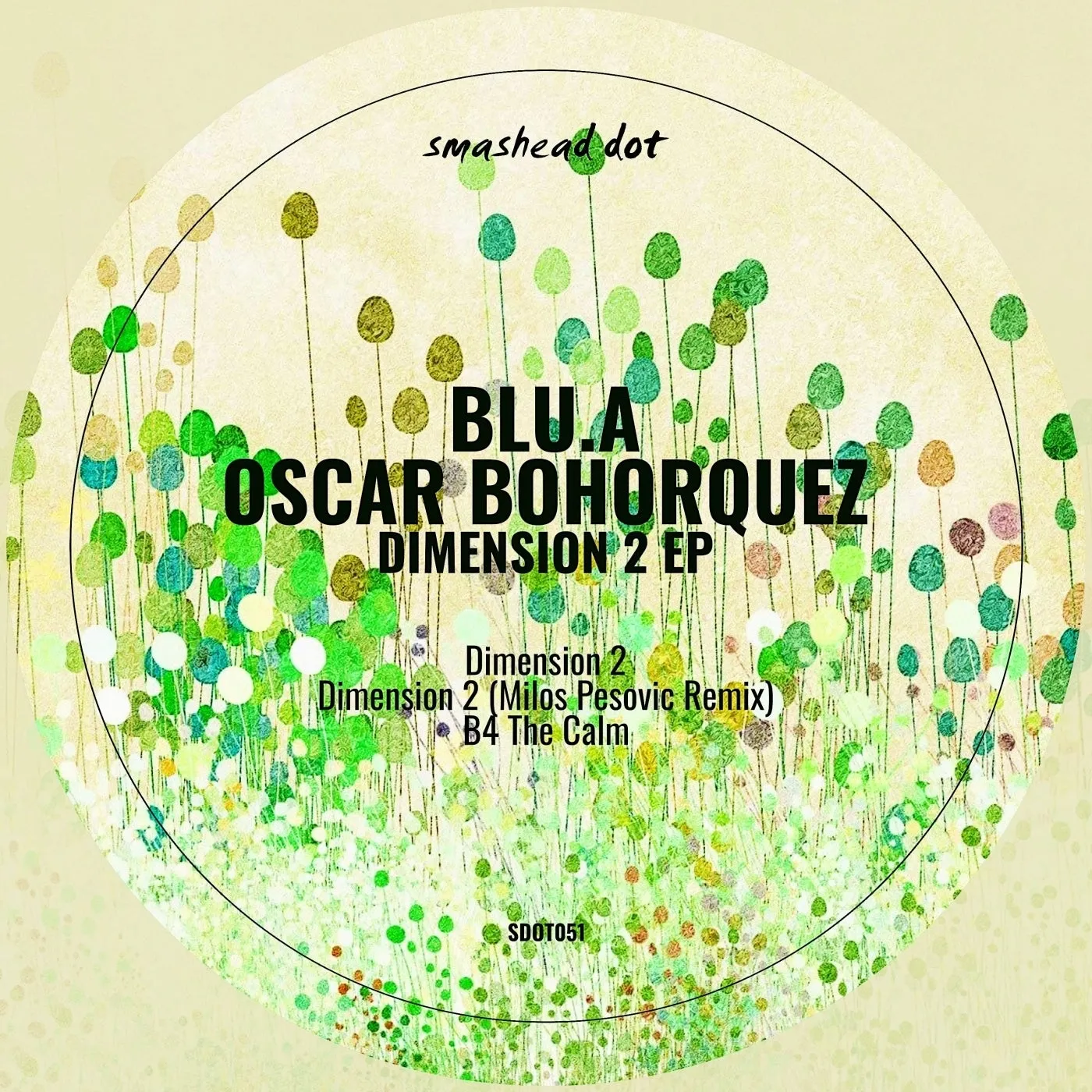 Oscar Bohorquez, Blu.a – Dimension 2