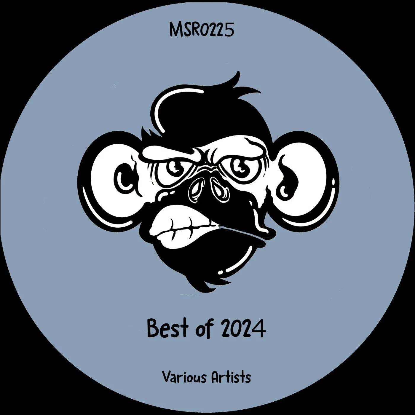 VA - Best of 2024 [Monkey Stereo Records]