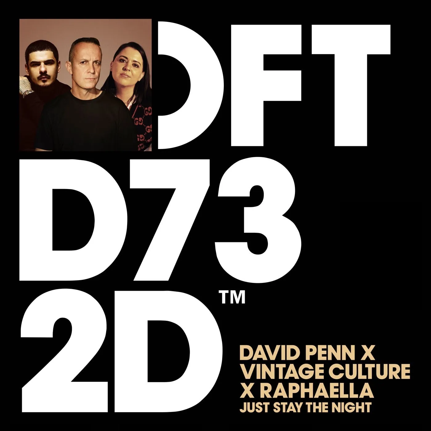 David Penn, Raphaella, Vintage Culture - Just Stay The Night - Extended Mix [Defected]