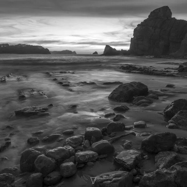 Francisco Basso, Zambo – Connect Seven