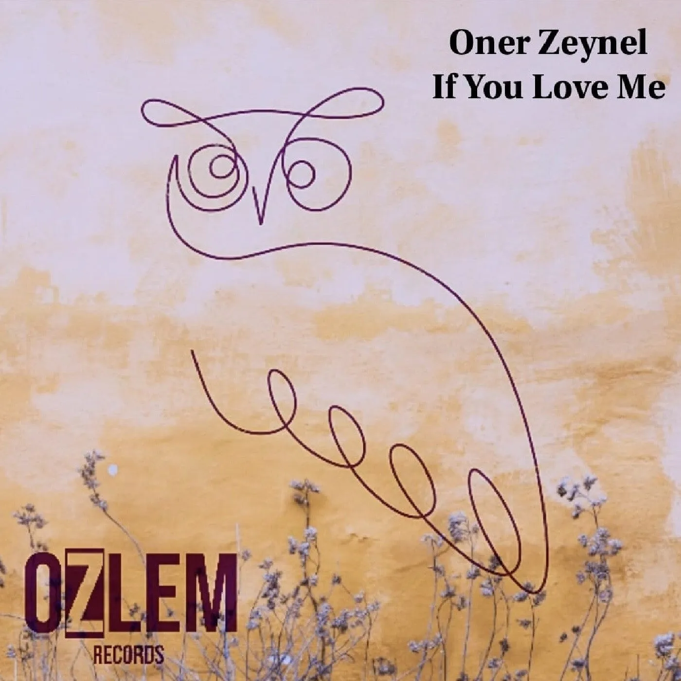 Oner Zeynel – If You Love Me