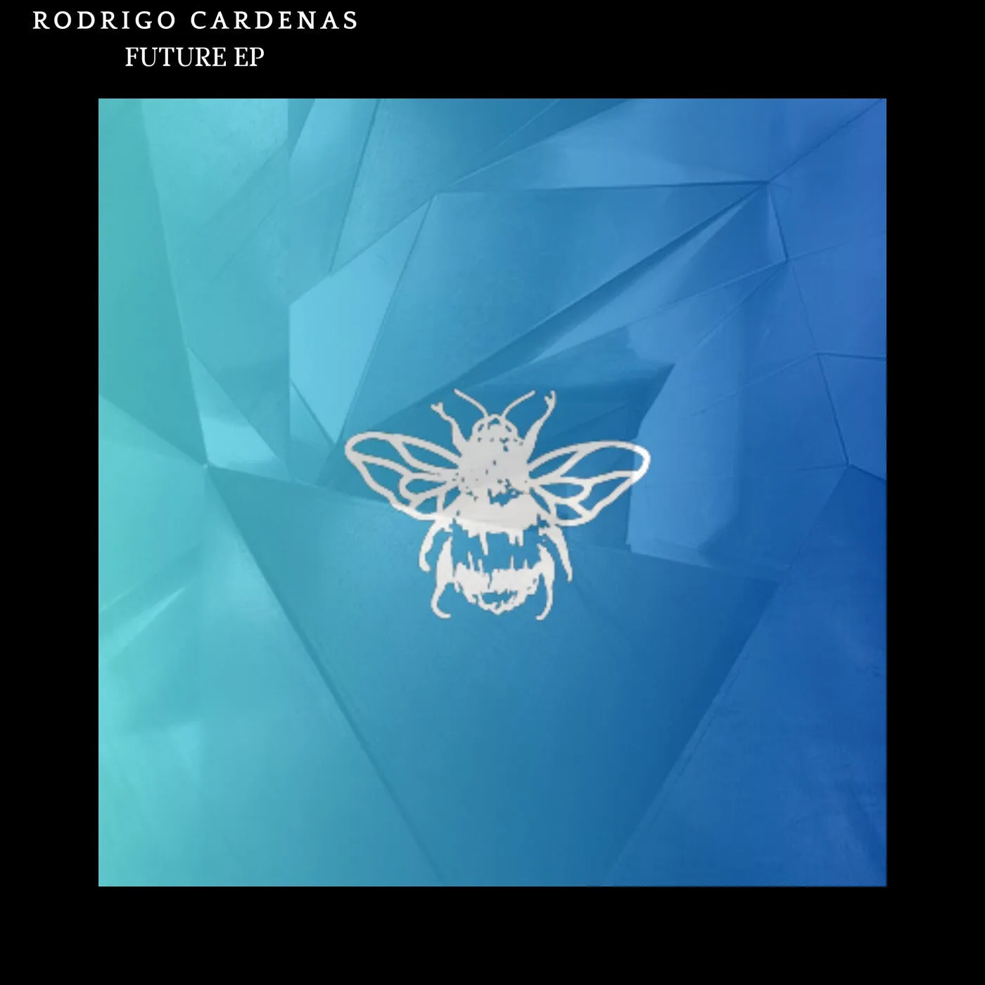 Rodrigo Cardenas - Future EP [Not So Serious Deep]