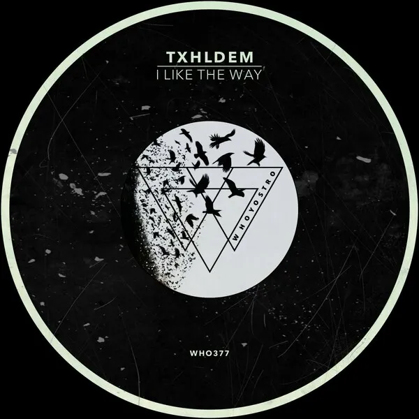 TXHLDEM - I Like The Way [Whoyostro]