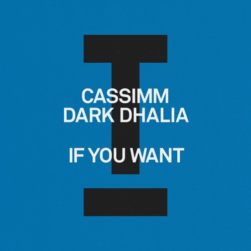 CASSIMM, Dark Dhalia - If You Want [Toolroom]