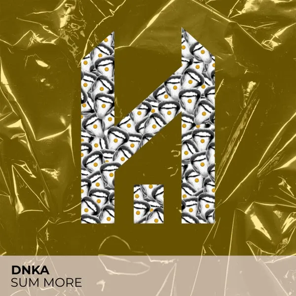 DNKA - Sum More [Housescape Records]