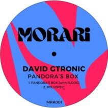 David Gtronic, Floog - Pandora's Box [Morari]