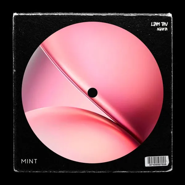 Liam Tav - Aghata (Extended Mix) [mINT]