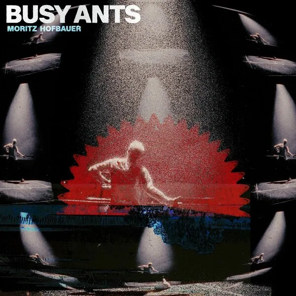 Moritz Hofbauer – Busy Ants