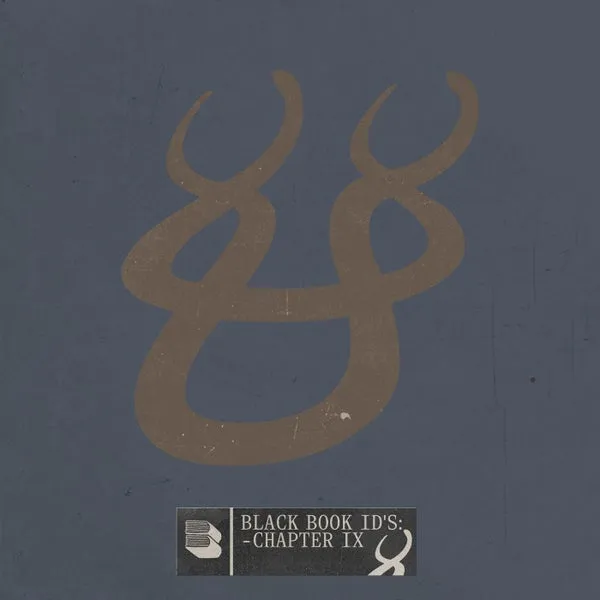 VA - Black Book ID's: Chapter 9 [Black Book Records]