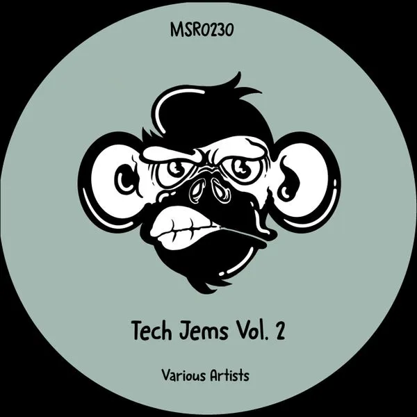 VA - Tech Jems Vol. 2 [Monkey Stereo Records]