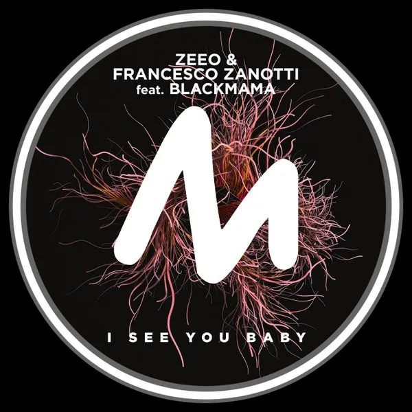Zeeo, Francesco Zanotti, BlackMama - I See You Baby [Metropolitan Recordings]
