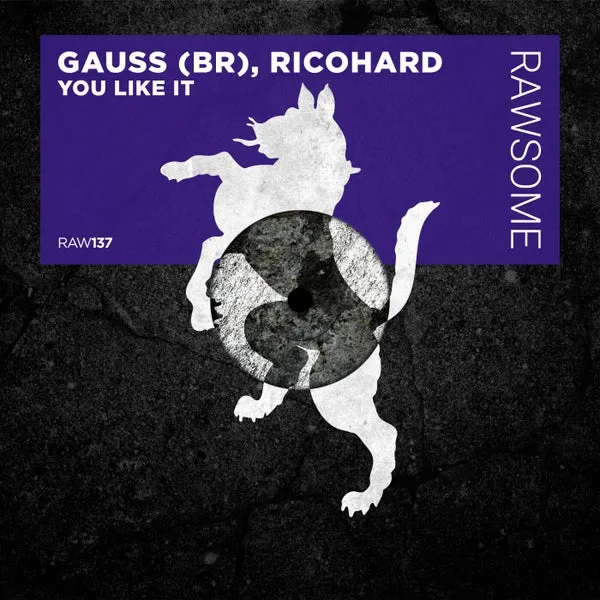 Ricohard, Gauss (BR) - You Like It [Rawsome Recordings]