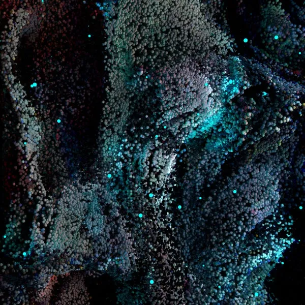 Ajna (BE), Samm (BE) – Yours to Take cover