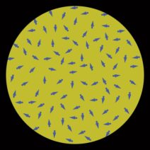 Cicuendez, Dkatt - Collab 02 [Dez]