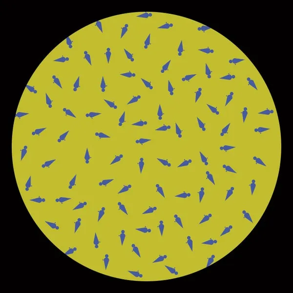 Cicuendez, Dkatt – Collab 02