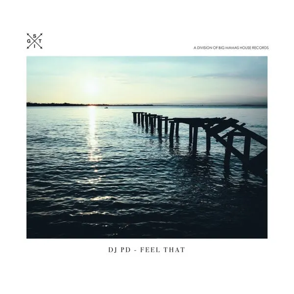 DJ PD – Feel That cover