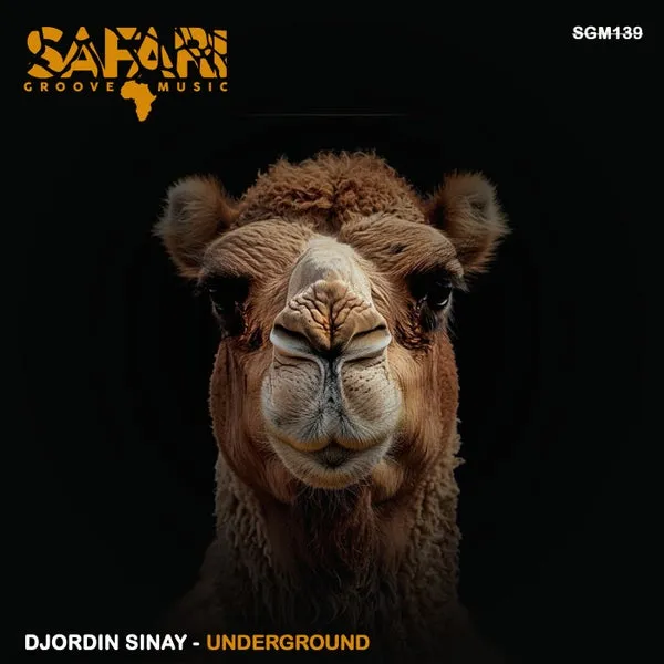 Djordin Sinay – Underground cover