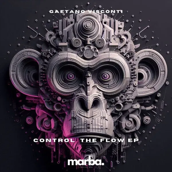 Gaetano Visconti – Control The Flow EP cover