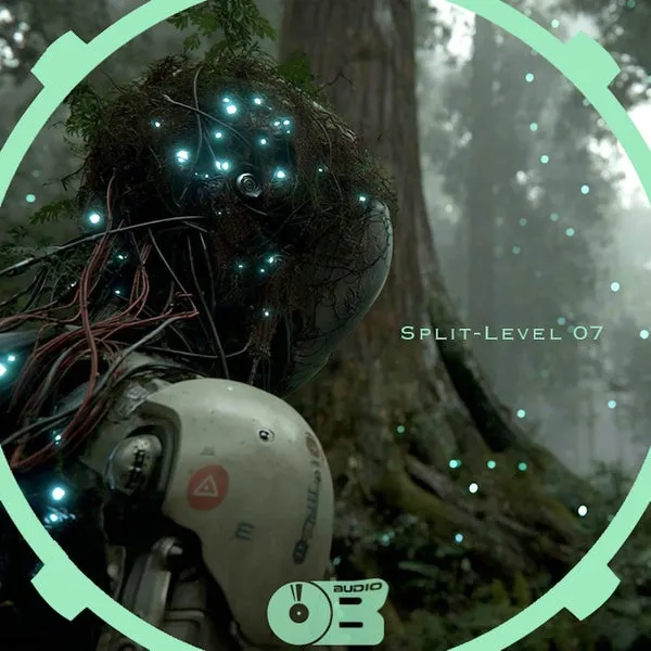 Haveck, Tom Avequi – Split-Level 07 cover