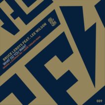 Lee Wilson, Bruce Leroys - What Do You Want [Aureum]