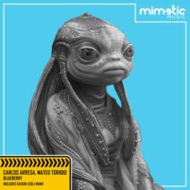 Mateo Toribio, Carlos Arresa - Blueberry [Mimetic Music]