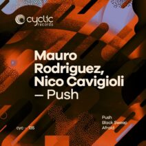 Mauro Rodriguez, Nico Cavigioli - Push [Cyclic Records]