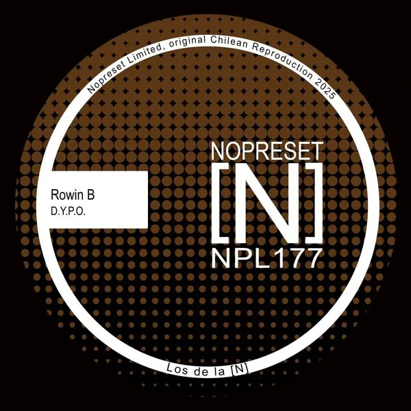 Rowin B – D.Y.P.O. cover