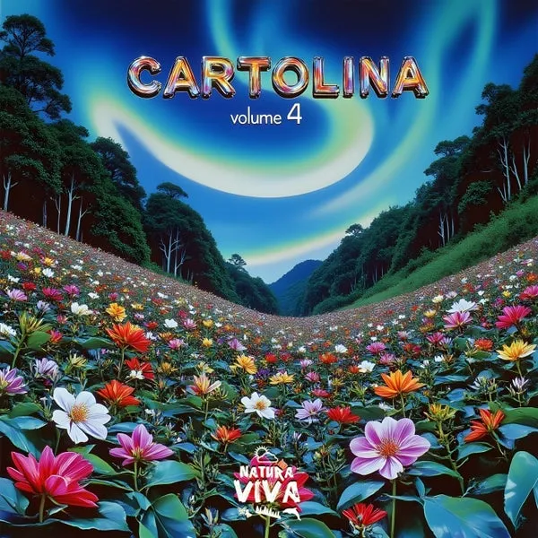 VA – Cartolina Volume 4 cover