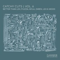 VA - Catchy Cuts, Vol. 6 [Flashmob Records]