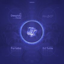 VA - Ring 5 EP [Deeplay House]