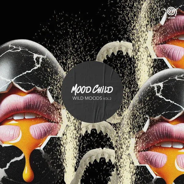 VA – Wild Moods Vol.2 cover