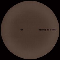 Adam Feingold - Nothing Is a Field EP [Temple Records (CA)]