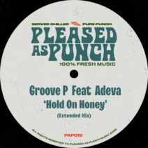 Adeva, Groove P - Hold On Honey [Pleased As Punch]