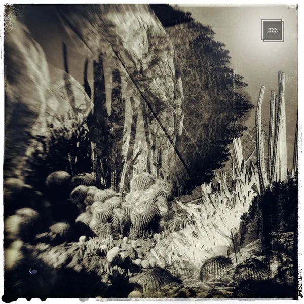 Claudio Solis, Seymour (CL) – Kototama cover