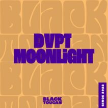 DVPT - Moonlight [Black Toucan Records]