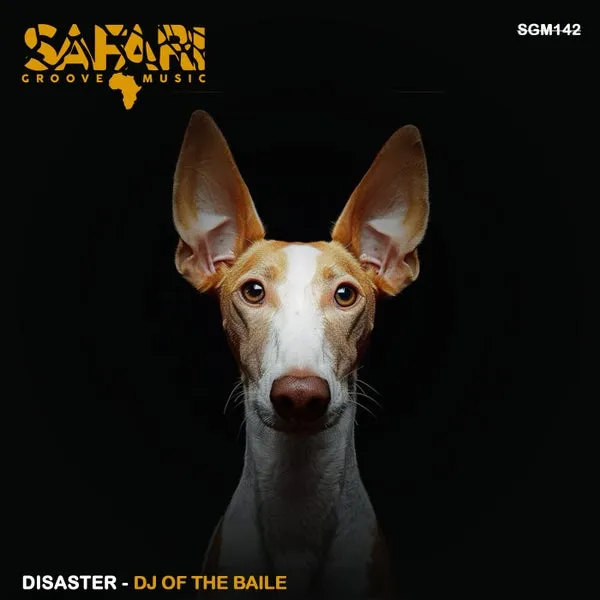 Disaster – DJ of the baile cover