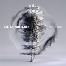 Glitch Molecule - Hamlet'in Gecesi [Harthouse]