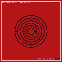 Max Cohle, Beneath Usual - The Maze [Microdrive]