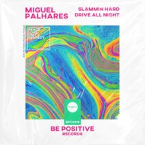 Miguel Palhares - Slammin Hard Drive All Night [Be Positive Records]