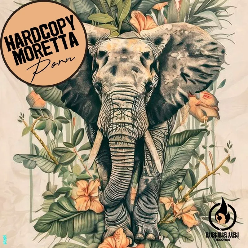 Moretta, Hardcopy – Porn cover