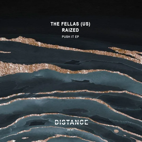 Raized, The Fellas (US) – Push It EP cover