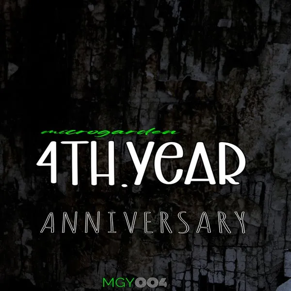 VA – 4th. YEAR Anniversary cover