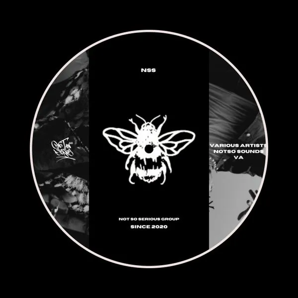 VA – NOTSO SOUNDS VA cover