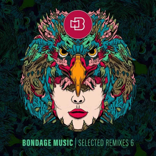 VA – Selected Remixes 6 cover